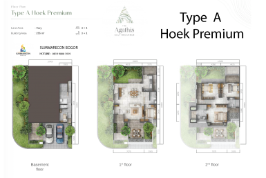 AGATHIS TYPE A HOEK PREMIUM-01