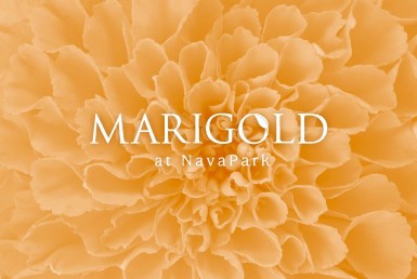 Ebrosur Marigold T1_Page_01