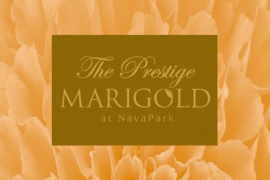 Ebrosur Marigold T3_Page_07