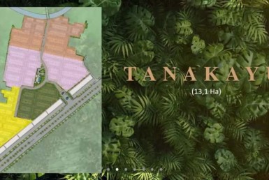 eBrochure TANAKAYU_Page_12