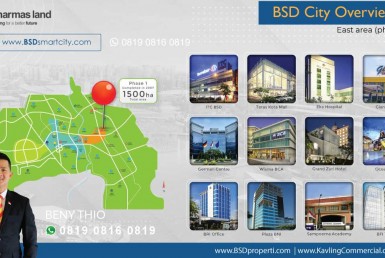 BSD-CITY-OVERVIEW-EAST-AREA-P1